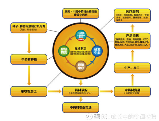 成长中的价值投资 医药行业真正的龙头